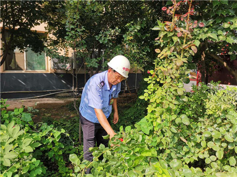 河南伟志模板来保军——美丽的花园，来自辛勤的劳动